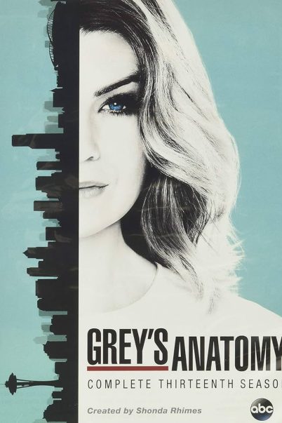 Grey’s Anatomy Season 13 แพทย์มือใหม่หัวใจเกินร้อย ซีซั่น 13 [ซับไทย] (24 ตอนจบ)